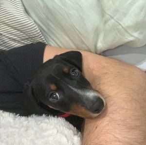 Meet your Posher, Matthew